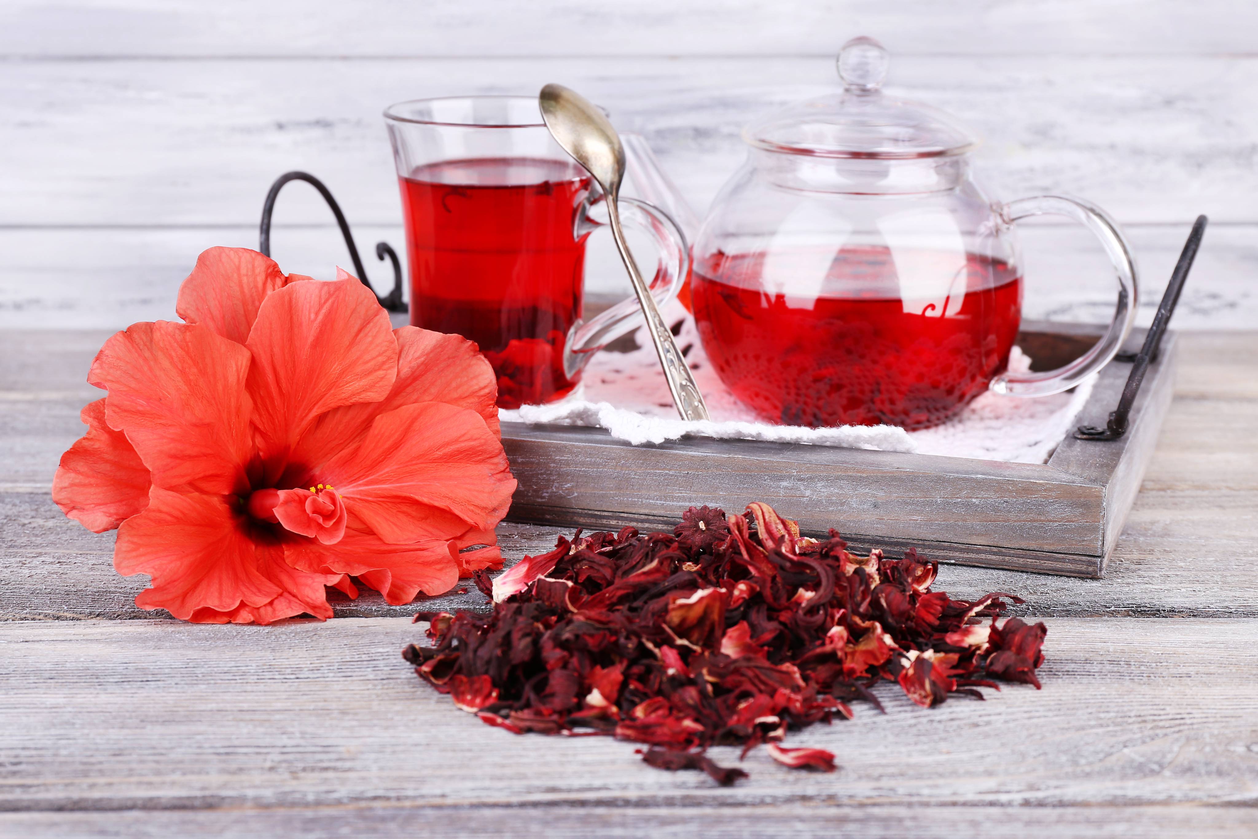 Hibiscus Flora Tea: A Cup Full of Color, Flavor & Health